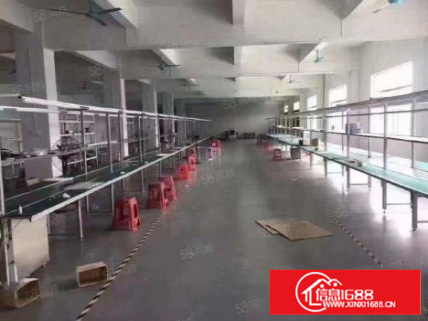 塘厦桥陇原房东厂房出租，离外环高速100米（明年开通）