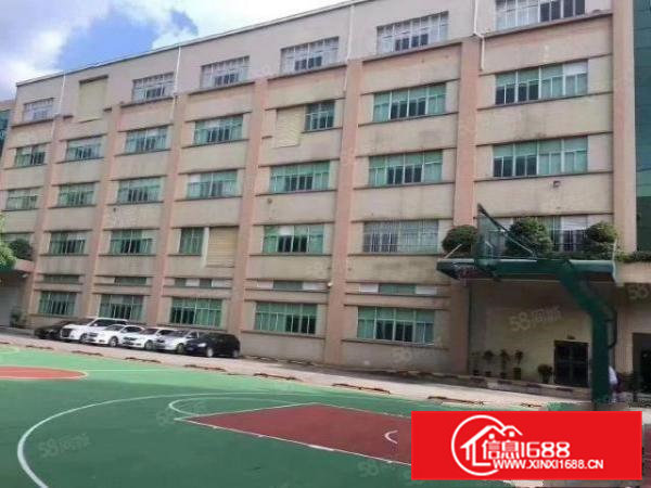 国有证花园式独院厂房紧邻松山湖医疗级无尘车间消防喷淋配套齐全