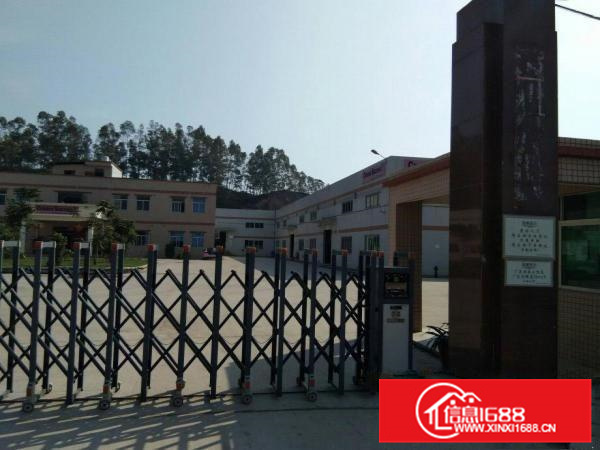 陈江工业区独门独院带装修钢构厂房2000平方招租