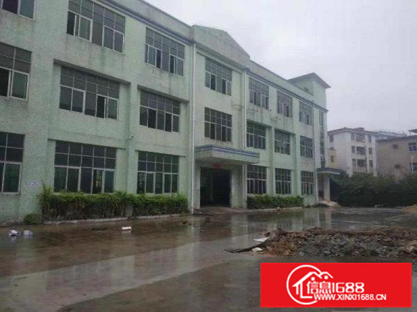 坪山区沙博新出6000平独院带豪华装修空地大可分租