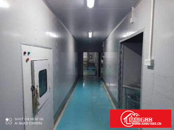 大岭山无尘车间1000平方厂房出租
