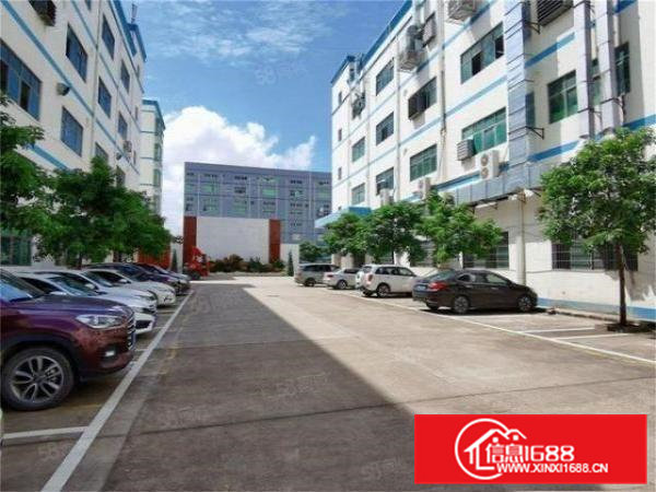 新出大朗主路边工业厂房一楼1500方，空地大远离居民