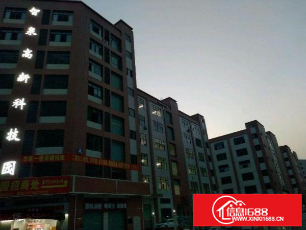 东坑镇全新标准厂房