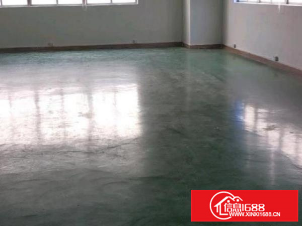 自己的厂房，非中介，豪华装修，欢迎来撩！