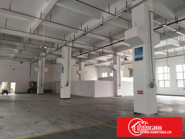 桥头镇分租原房东独门独院标准厂房一楼1600平方，无公摊