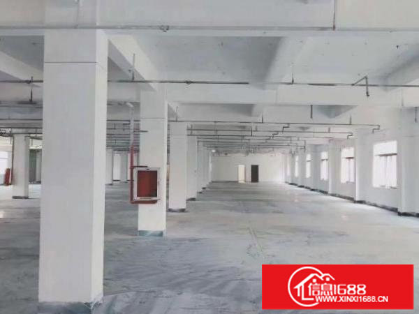 龙岗坪地坪西9800平方红本厂房出租五吨电梯原房东