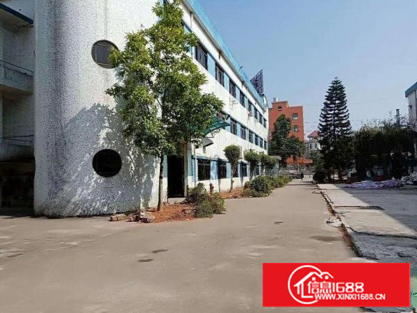 重工业~可分租~塘厦蛟乙塘8500平米带装修独院厂房~靠高速