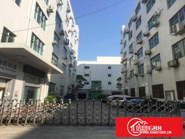 坂田杨美上雪科技园带装修800平米