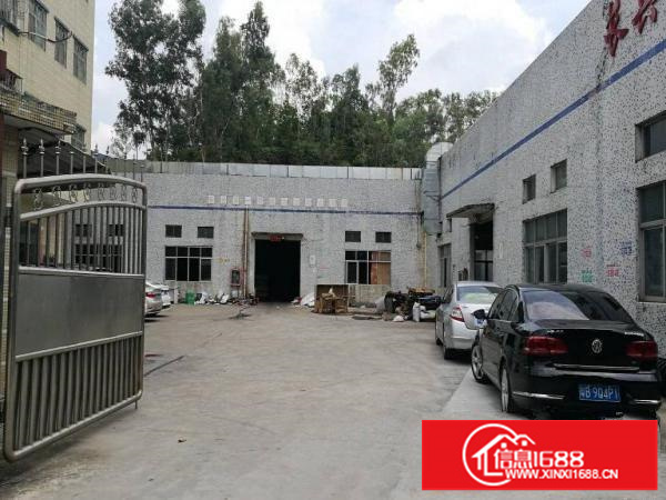 一楼带大空地1250平方钢构出租