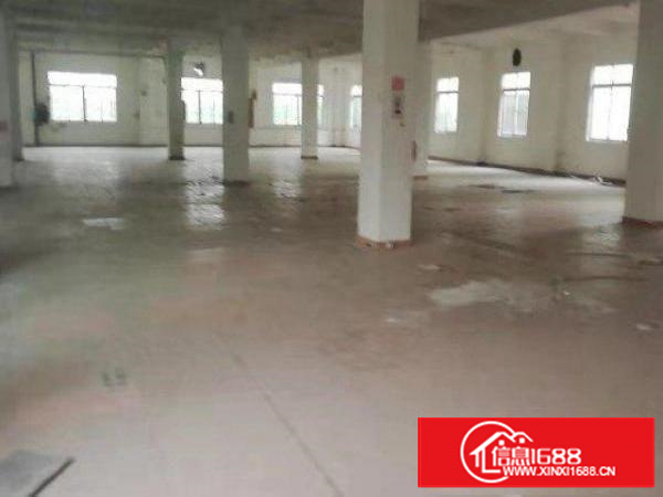 800平米无公摊面积厂房出租只需17元