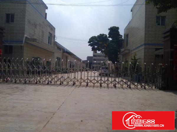 惠州秋长新出标准钢构厂房2800平方滴水7米原房东