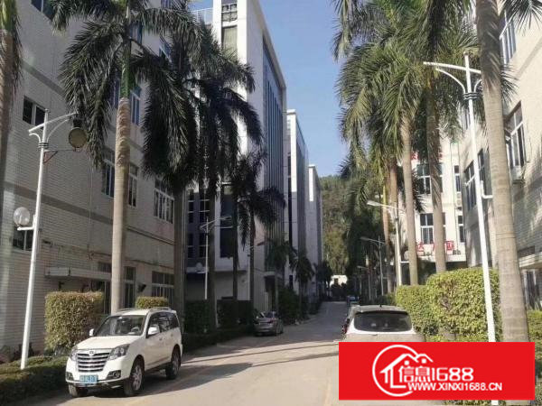 布吉丹竹头新出一楼厂房一千五百平可分租