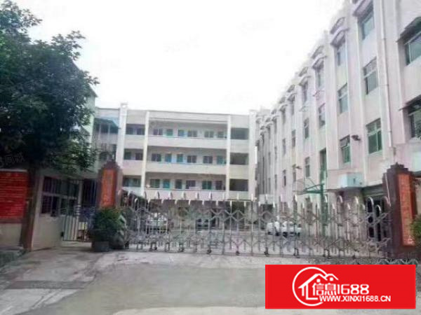 新村新出450平米标准1招租