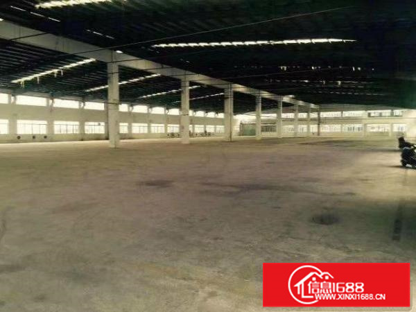 惠阳新圩原房东单一层钢结构红本厂房分栋、整体招租