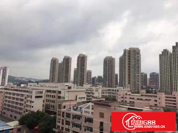 龙岗中心城厂房100至900平米出租现成装修