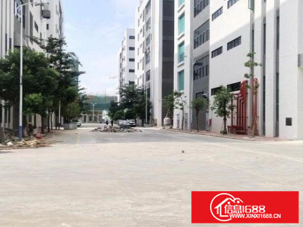 桥头新出形象好，独院厂房