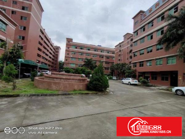 塘厦抢手工业园新出2000平方楼上标准带装修厂房出租