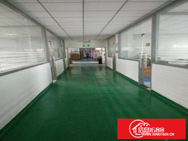 福永新和中英文学校附近新出楼上700平米精装修厂房