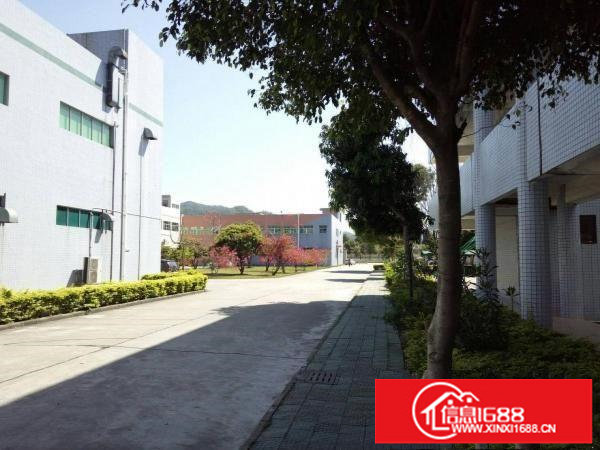 观澜新空出3800平米独栋厂房出租