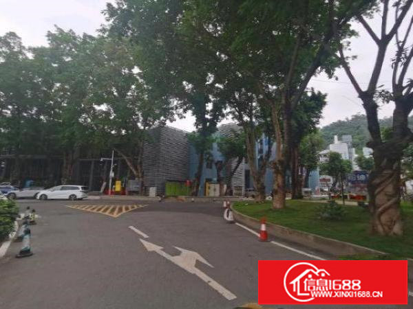 龙岗区布吉木棉湾200-2600平适合电商主播室教育机构清吧