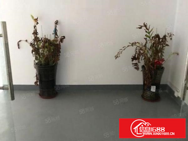 布龙路元芬村3楼220平