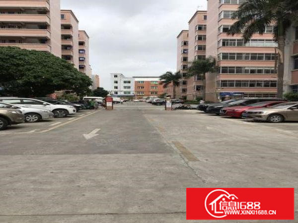 沙湾工业区一二楼厂房1600平出租可分大小面积