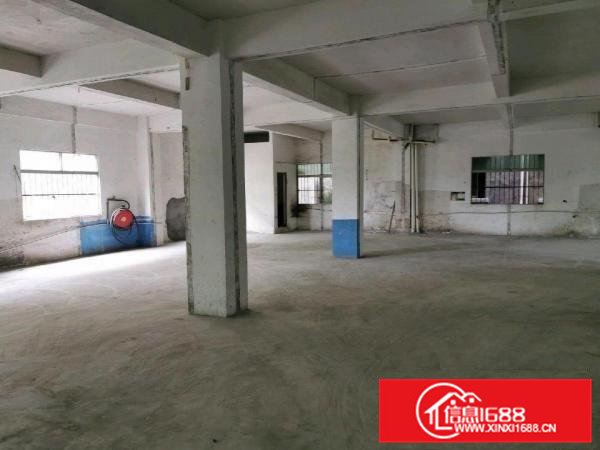 大朗石厦优质厂房出租