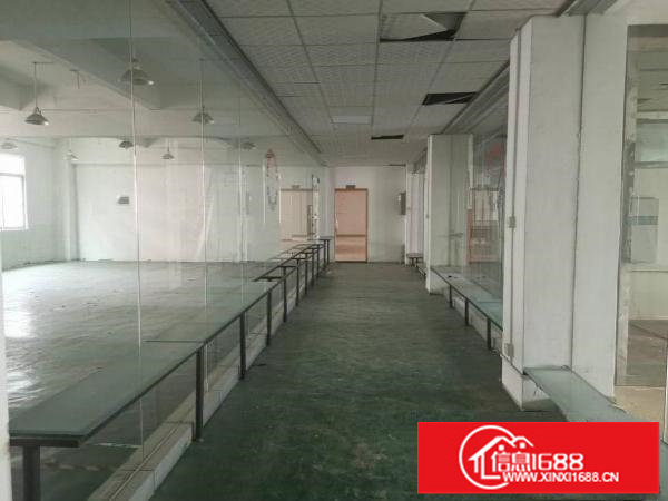 横岗稀有原房东独院4800平低价出租，无公摊，无物业管理费