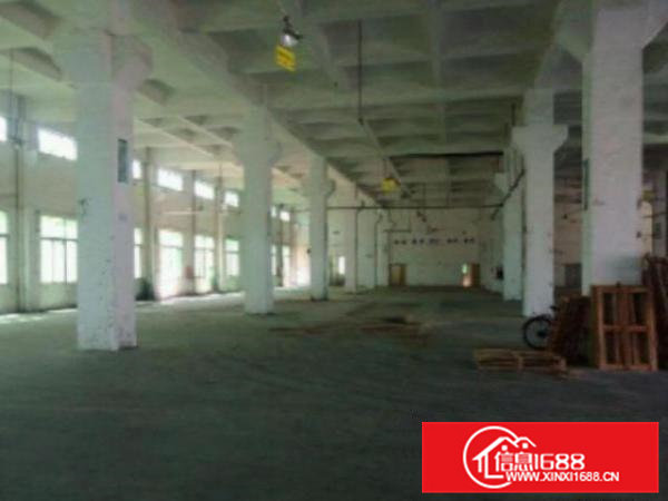 高埗标准厂房分租一楼800平方带办公室装修厂房干净整洁