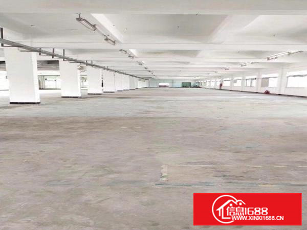 塘厦桥陇楼上特价厂房2600平方米