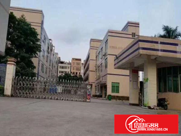 （出租）潼侨标准单一层厂房900平米出租（可分租