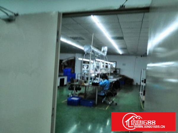 观澜梅观高速出口社保局旁630平方花园式带装修出租