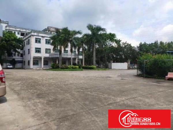 横岗六约原业主一楼3900平层高6.2米