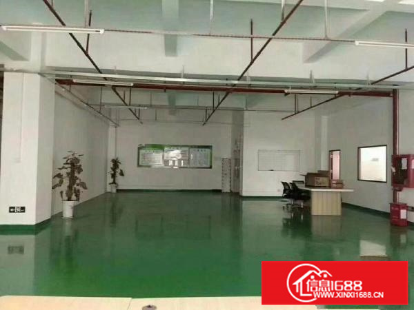 新圩花边岭独院厂房三楼1400平方出租