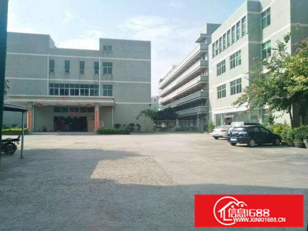 桥头镇东江村标准三楼1000出租