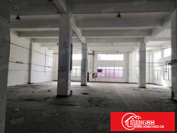 松岗沙浦围松福大道边新出重工业厂房一楼1000平6米高