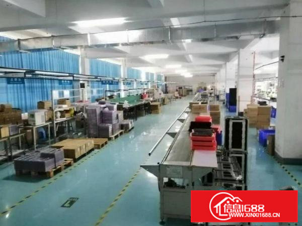 工业区楼上整层2300平出租，办公室精装，线路到位