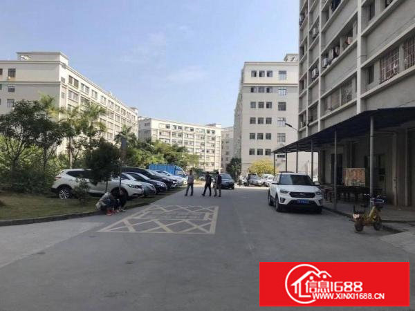 丹竹头地铁站300 500平方豪华装修厂房出租