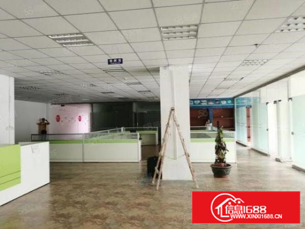 石岩塘头新出楼上300平精装修无转让费厂房出租