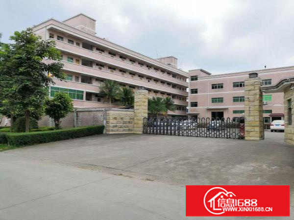 惠阳新圩独门独院红本标准厂房一楼1580平出租