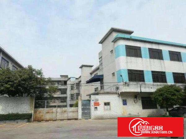 横沥镇新出原房东独院厂房招租4500