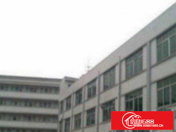 高埗标准厂房一楼出租2500平，高6米