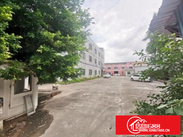 常平土塘独院厂房（新）