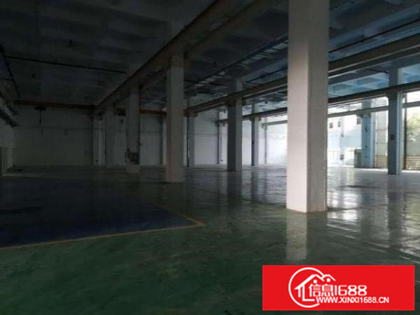 原房东红本，高档厂房一楼3200平，高9.5米，全新地坪漆，