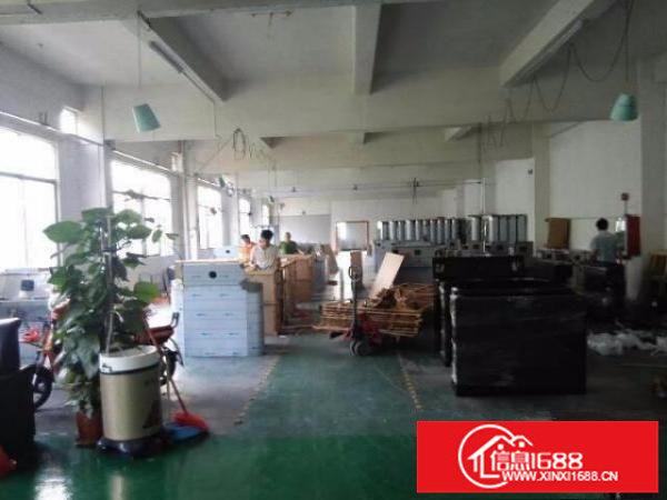 龙岗龙东独门独院500平，800平1000平，厂房出租