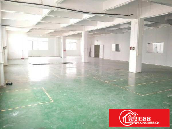 虎门怀德新出村委房子4楼900平方带装修水电齐全