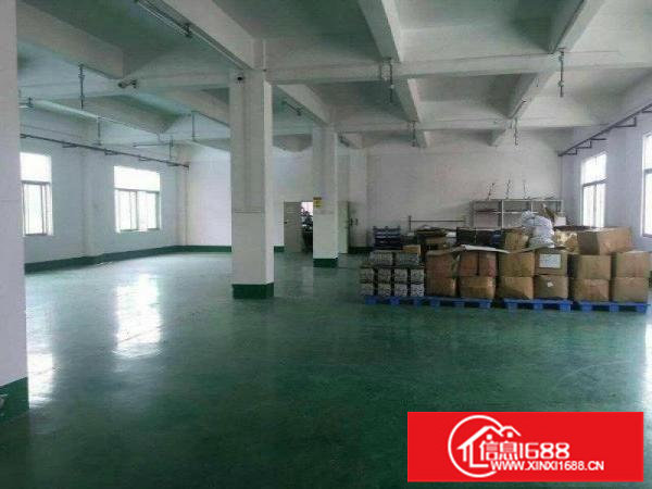 楼上带精装修现成水电9元！9元！有电梯坪山石井