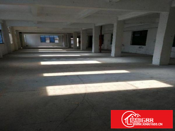 平湖平湖华南城一楼楼上厂房出厂房800平米