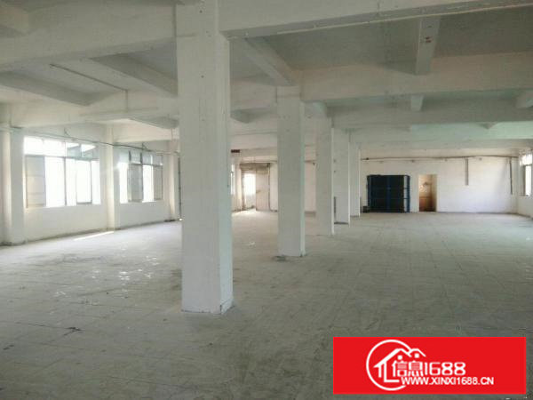 坪西市场一楼6米高独院厂房936平米