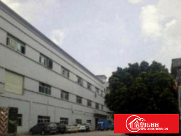 万江1-3层4000平方米标准独院厂房招租配电200KVA，